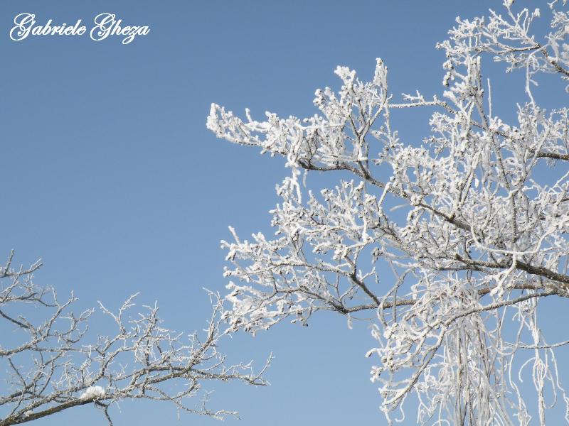 Omaggio all''Inverno che se ne va...